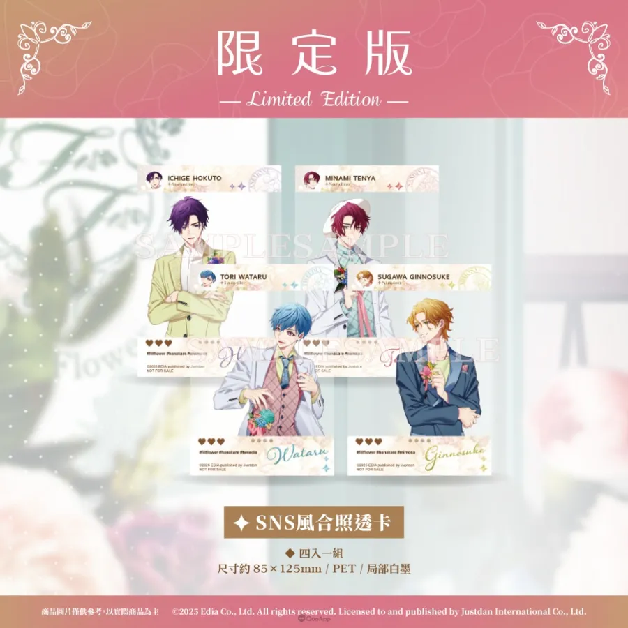 含苞待放的浪漫戀愛冒險故事🏵️《花好似他＆bloom》中文版OP及初回、限定版特典公開