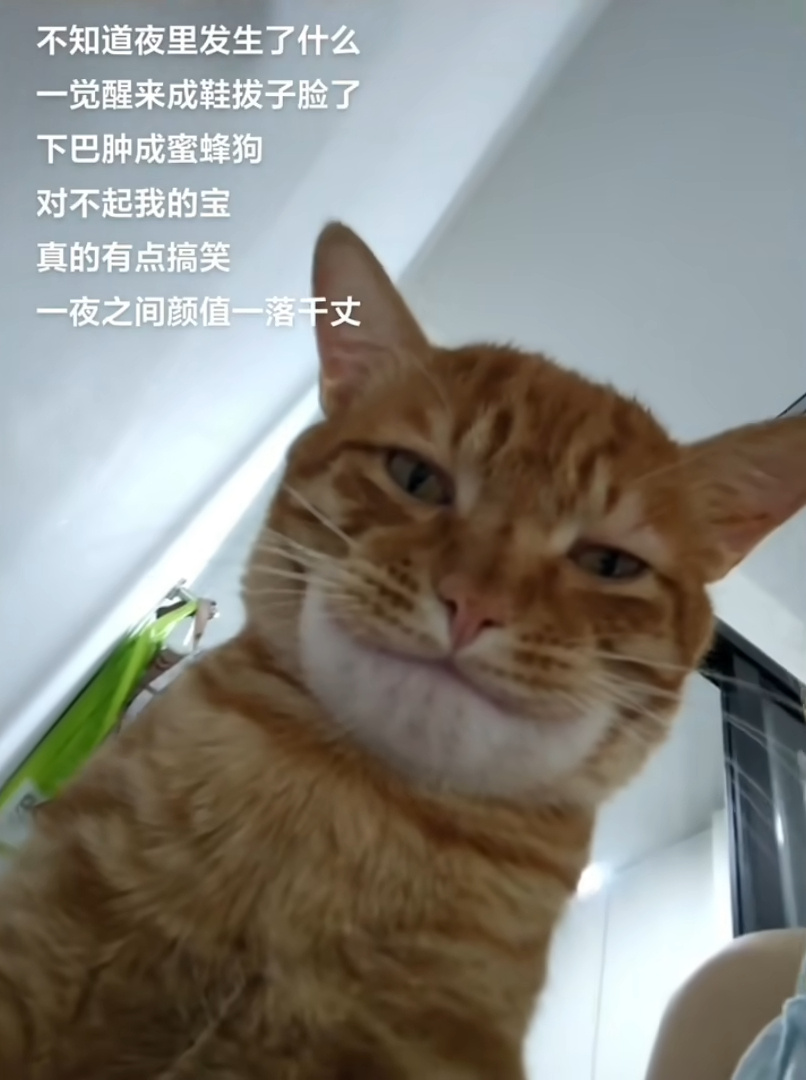 《星期一》梦中的可爱女孩 八卦杂谈 | LycoPoi 《星期一》梦中的可爱女孩