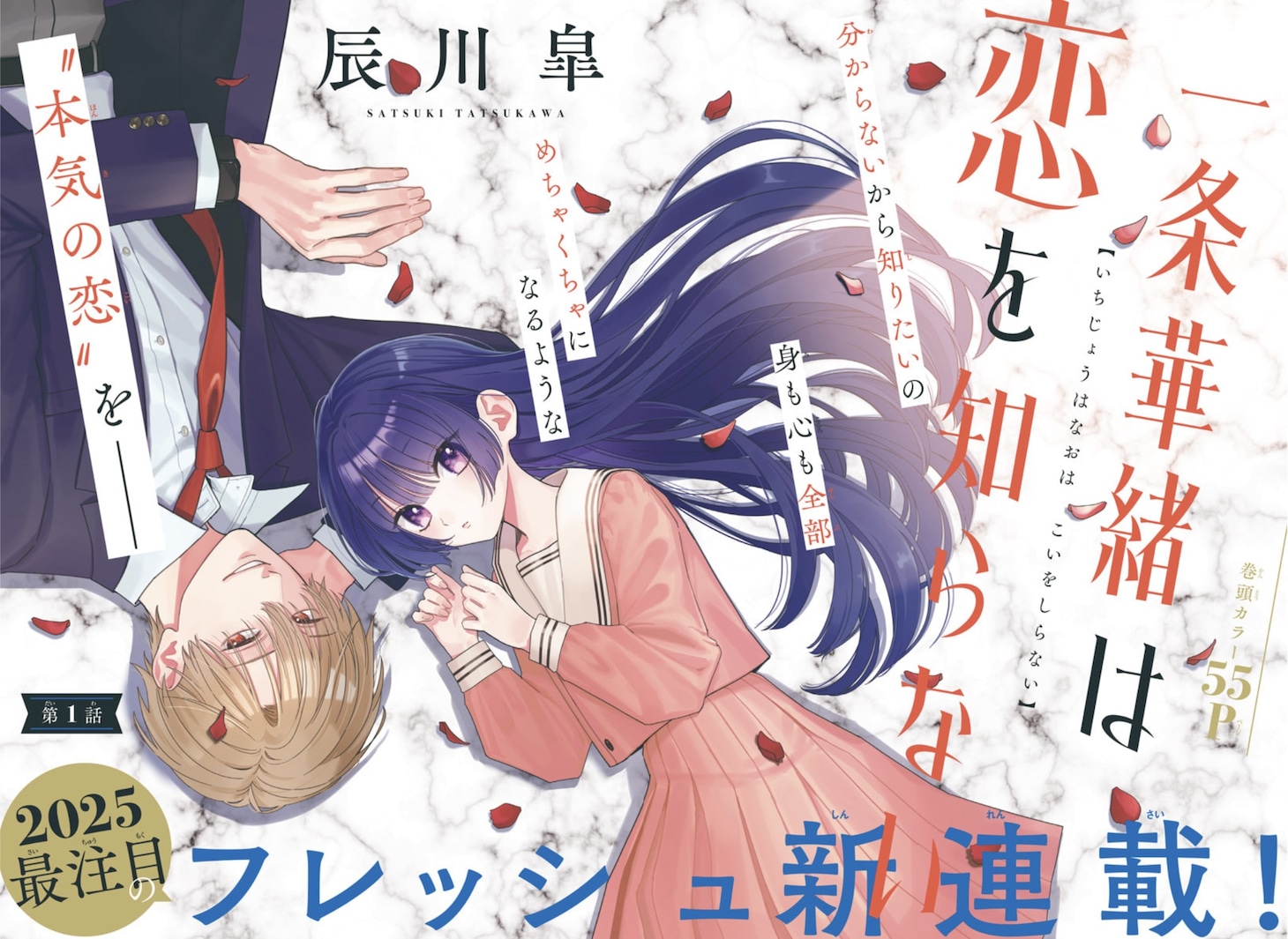辰川皋新作《一条华绪不懂恋爱》开始连载