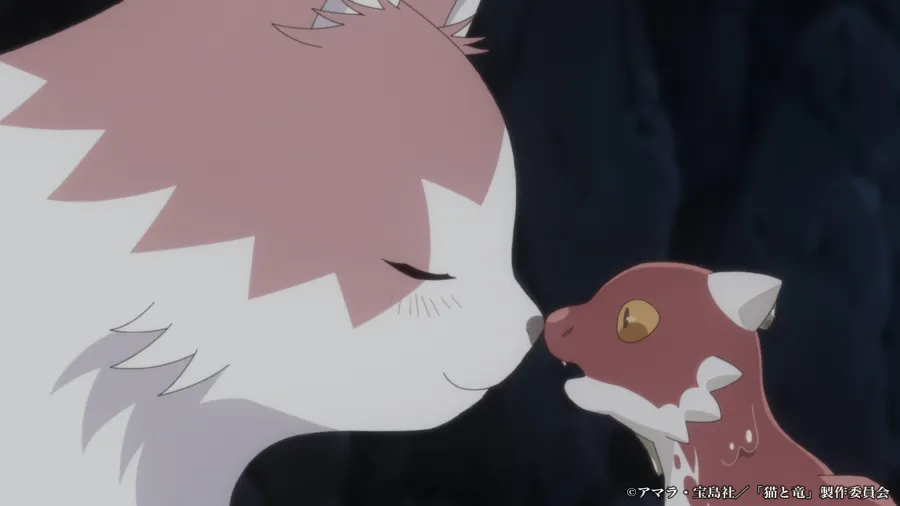 貓與龍與人的暖心動畫《貓與龍》確定2026年7月開播！「貓龍」由子安武人配音！