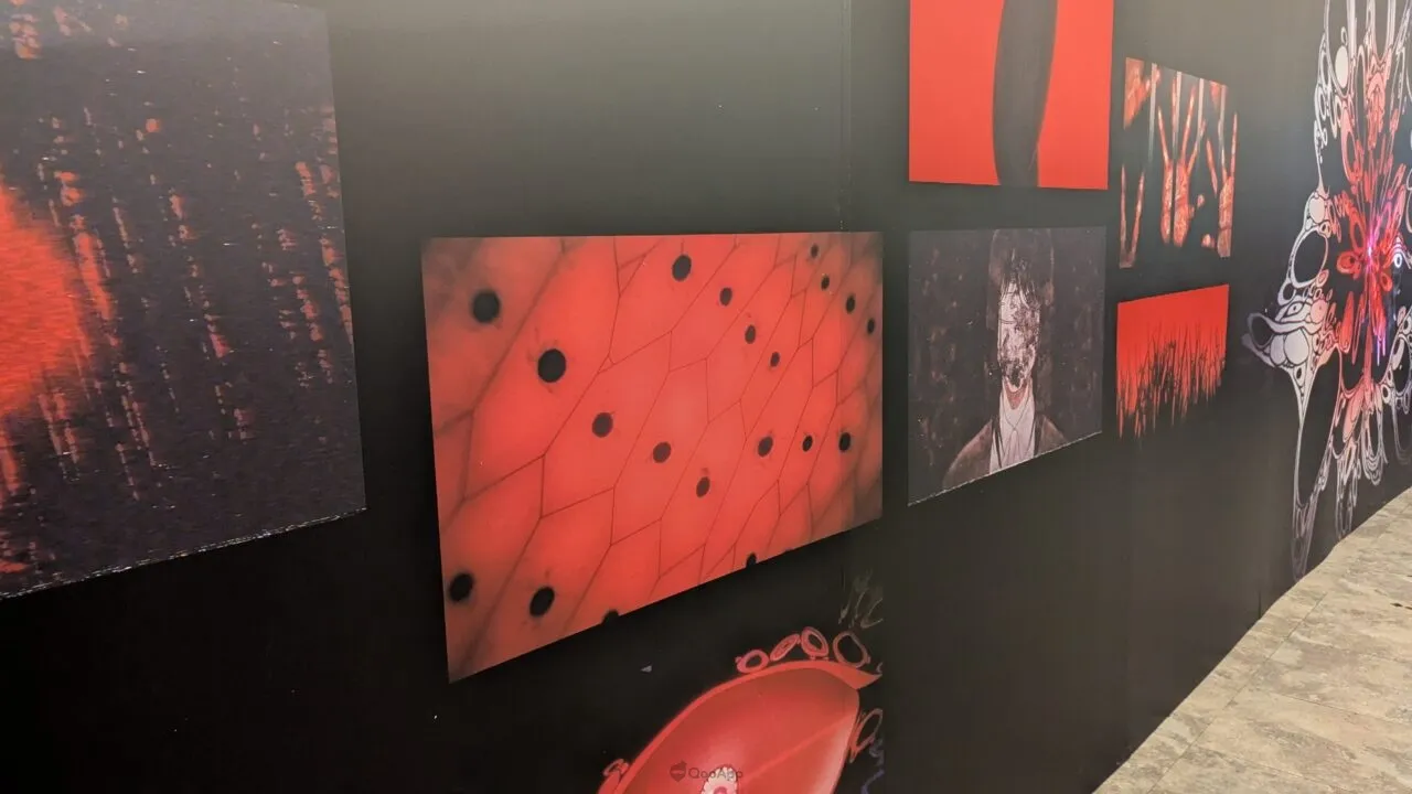 PXL 20260211 033352972