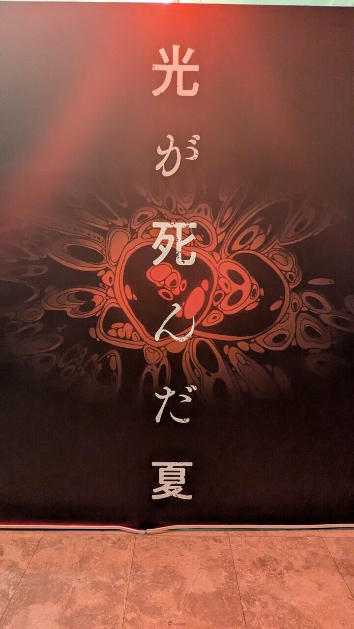 PXL 20260211 034023852