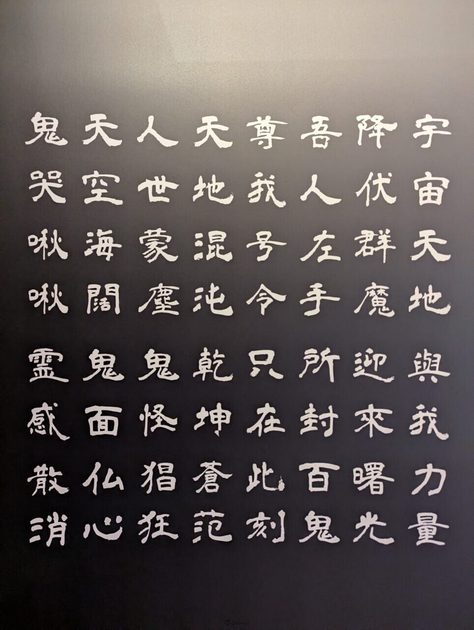 PXL 20260211 035220264