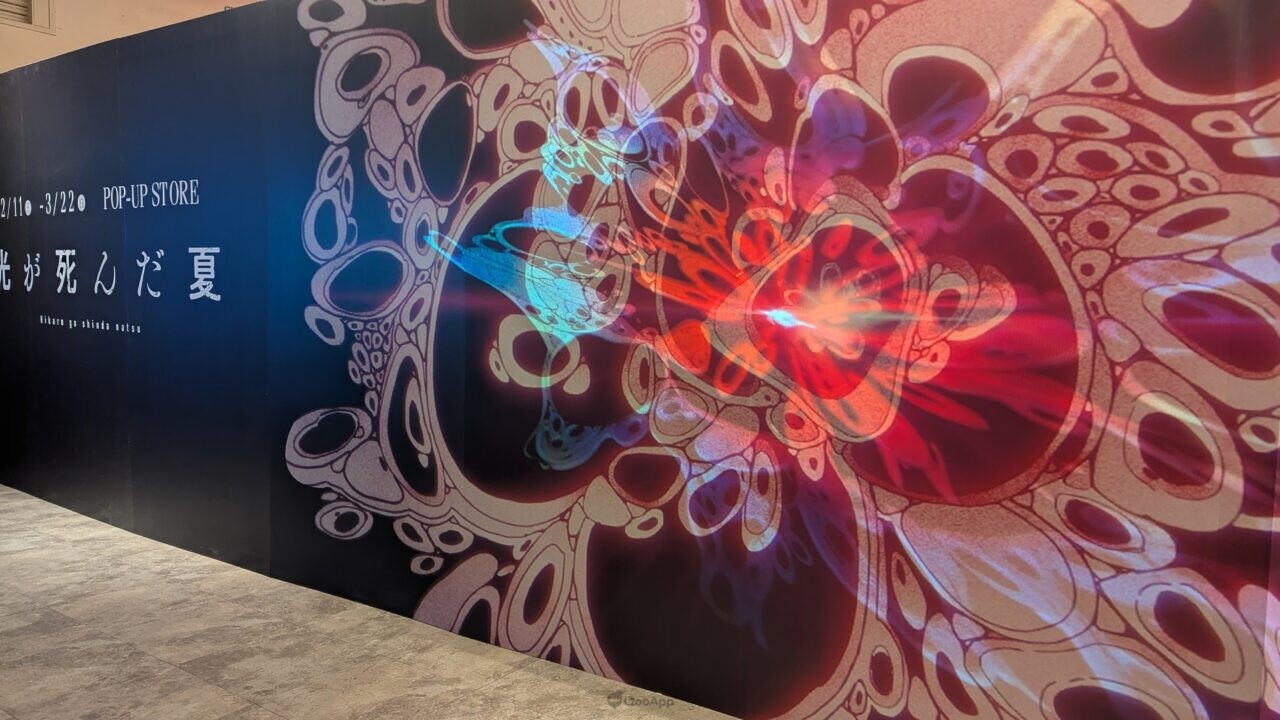 PXL 20260211 033557804