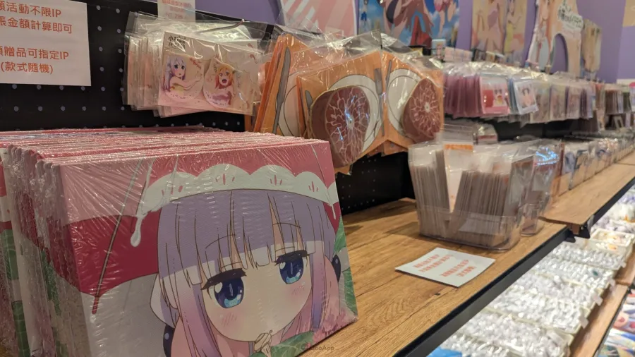 PXL 20260211 040816258 scaled