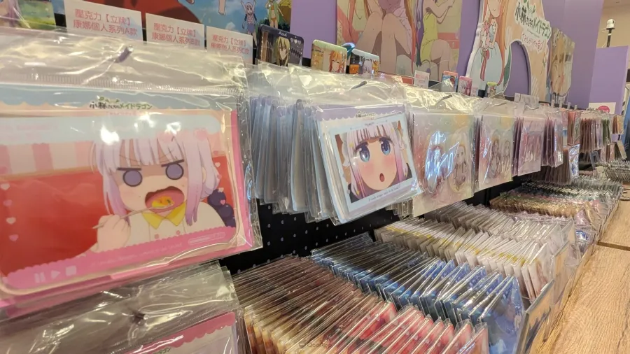 PXL 20260211 041000159 scaled