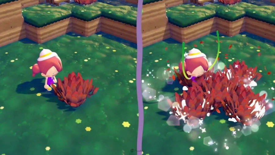 16 藏飽栗鼠介紹5