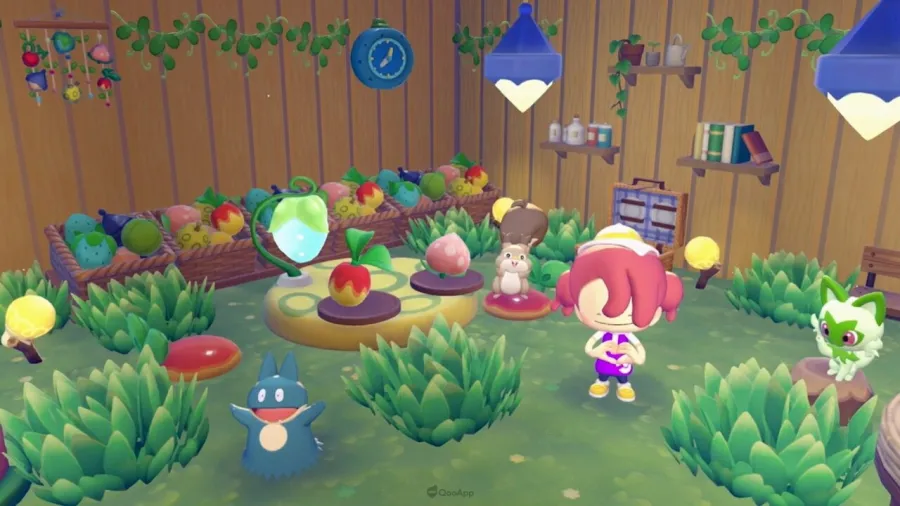 34 用樹果裝飾得漂漂亮亮