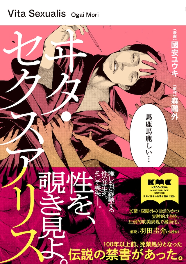 改编自森鸥外《Vita Sexualis》角川名著漫画系列推出