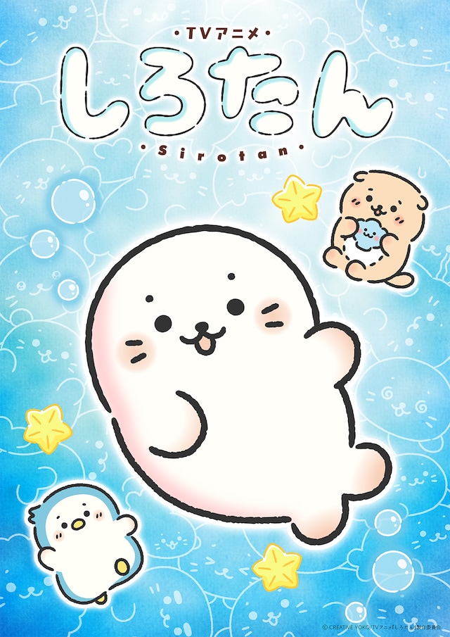 1774363366924873.jpeg shirotan_teaser.jpeg