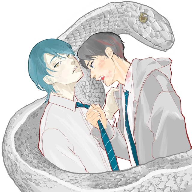 吃下就能治愈一切？《Meida》开始连载