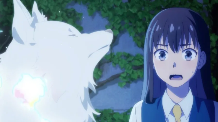 《竊取本書者將會…》