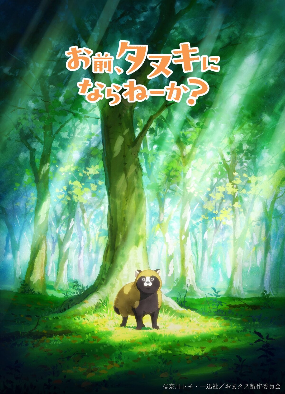狸猫导师招生 《你，不变成狸猫吗？》动画化决定！