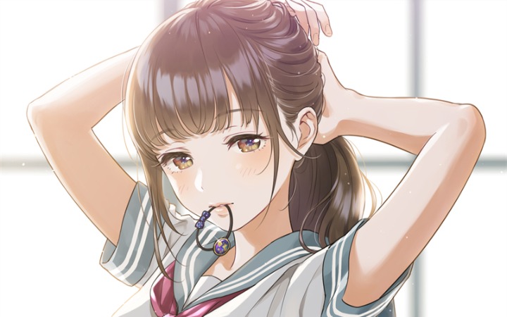 P站美图推荐——叼发圈特辑（二）