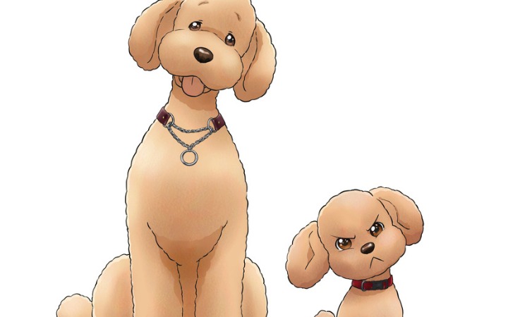 小野贤章、铃村健一将出演TV动画《Dog Signal》