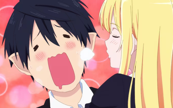 TV动画《愚蠢天使与恶魔共舞》公开第一弹PV！