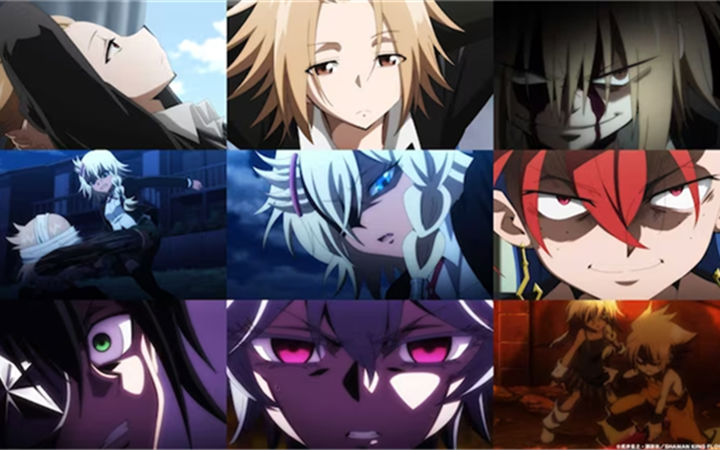 TV动画《通灵王 FLOWERS》公布新PV