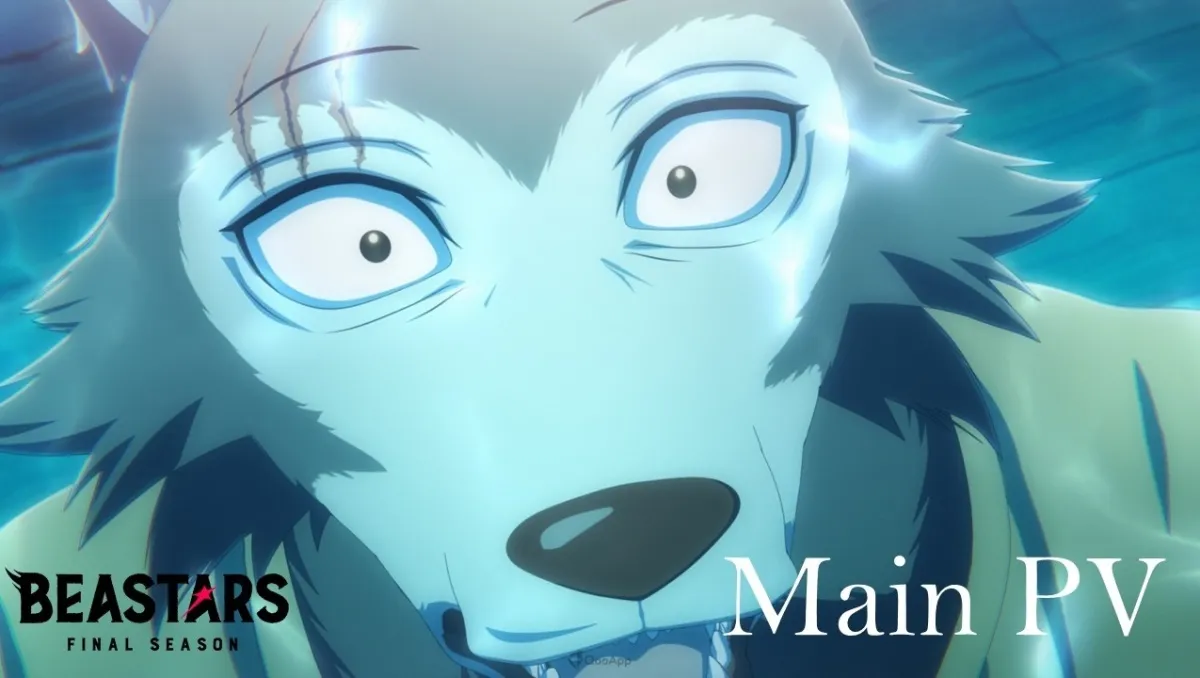 《BEASTARS》最終季第1部12月5日 Netflix 開播!聲優 千葉繁、三木真一郎、折笠富美子 等人參演